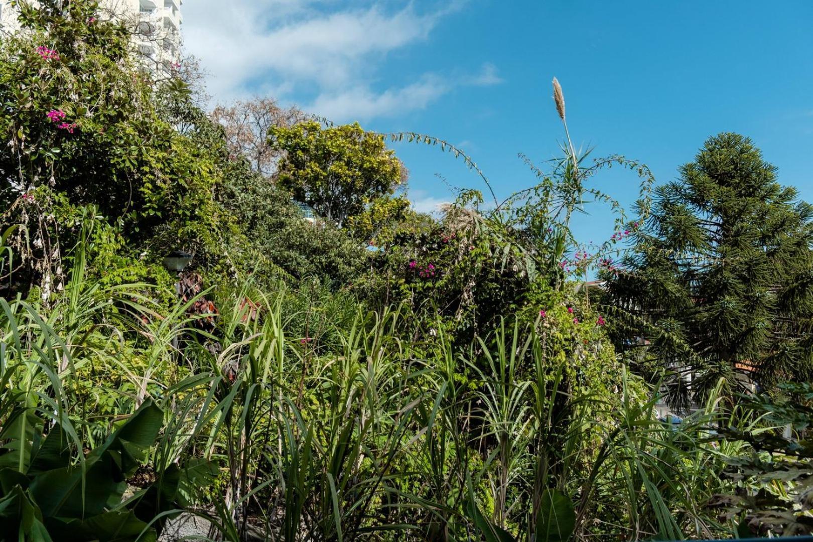 Appartamento Guestready - Lido View Near The Beach Funchal  Esterno foto